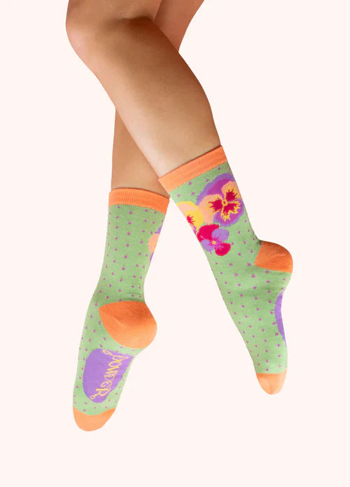 CALZINO SPRING PANCIES - Powder