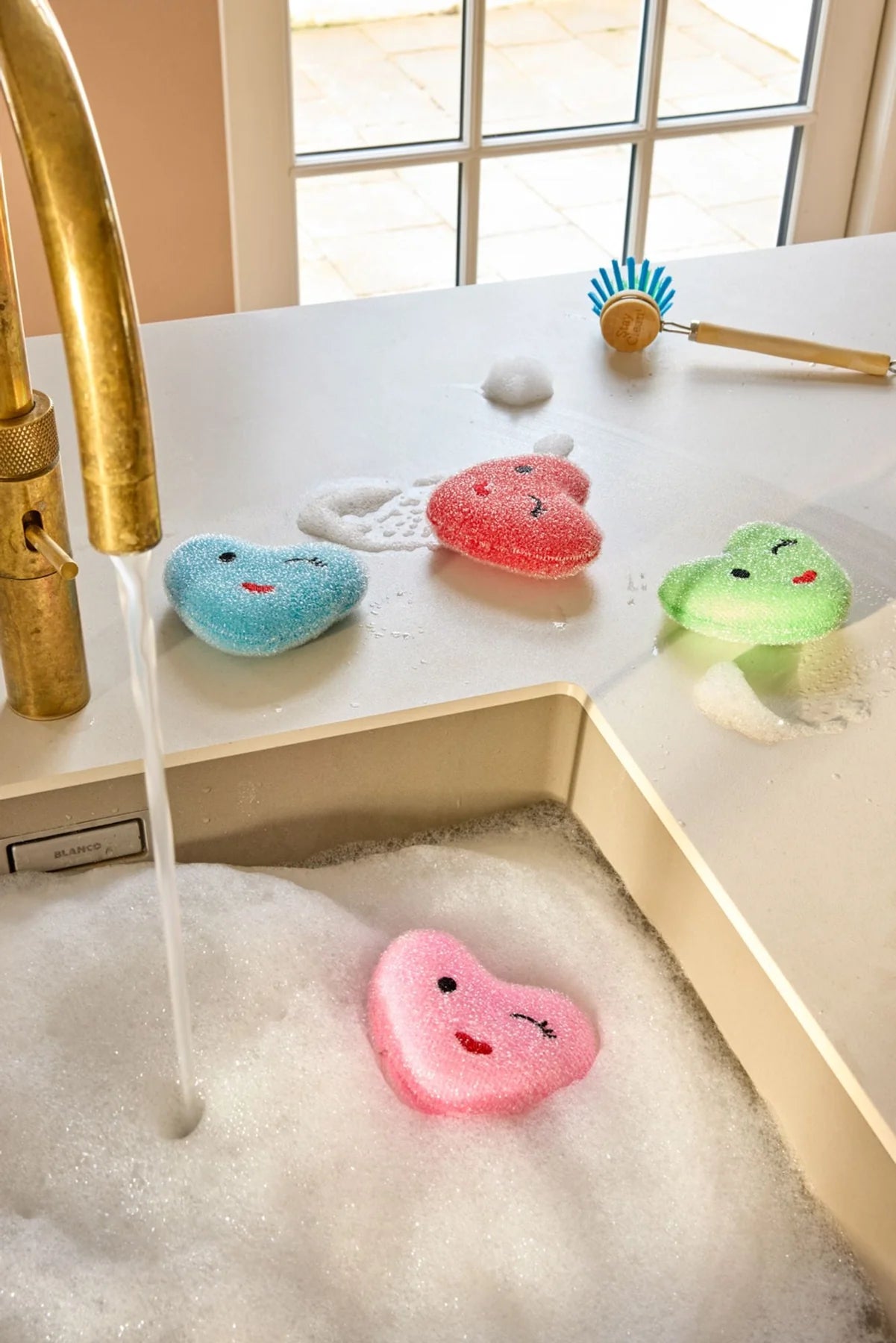 SPUGNA CUORICIOSA - Rice