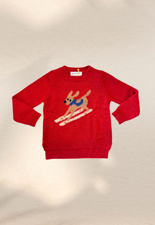 MAGLIONE PERRITO MINI - Compania Fantastica