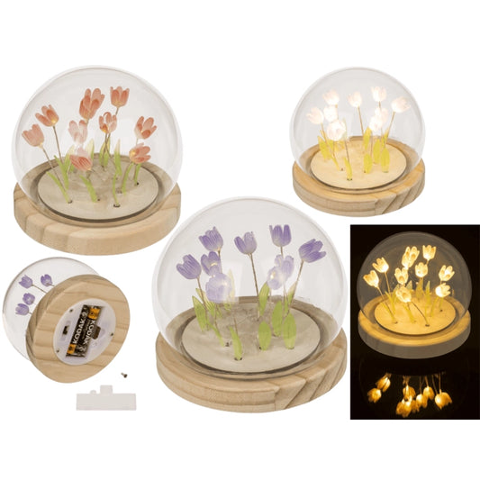 LUCE TULIPANO - Out Of The Blue