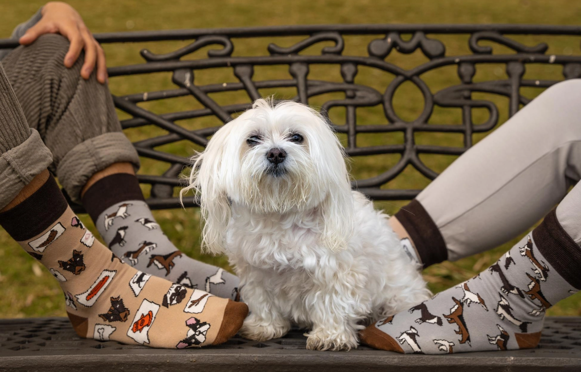 CALZINO PUPPY - Spox Sox