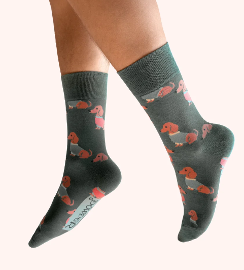 CALZINO SNUGGLY SAUSAGE DOG - Powder