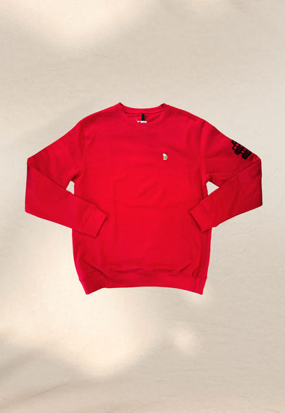 FELPA BIRRA - Hand made