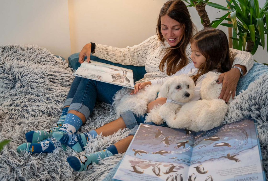 CALZINO PINGU - Spox Sox