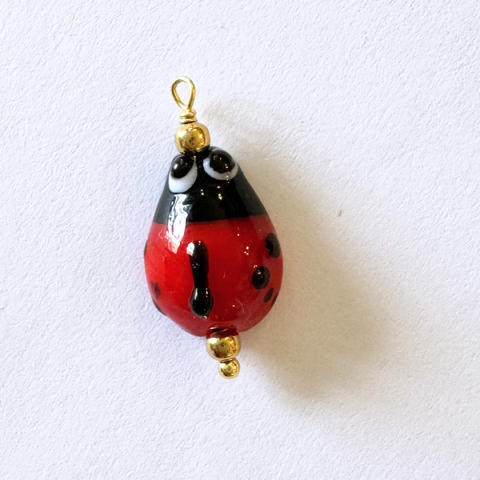 Coccinella