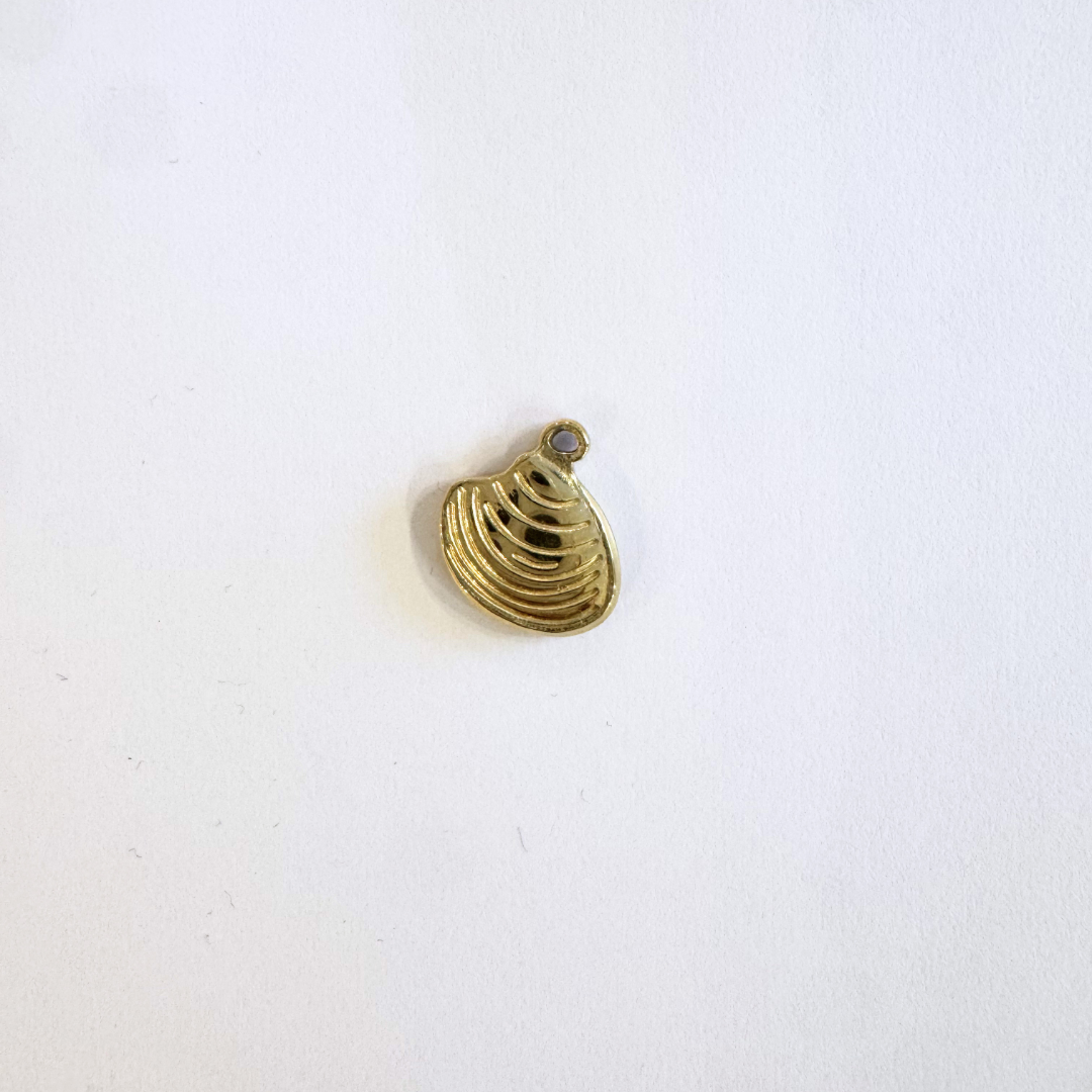 Conchiglia 1