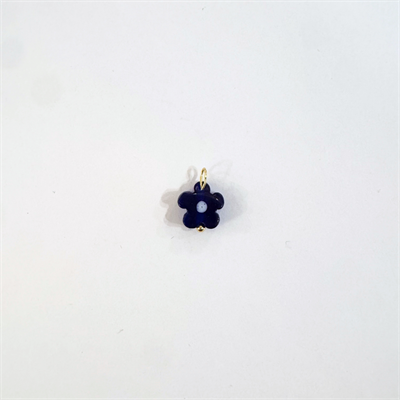 Fiorellino 13